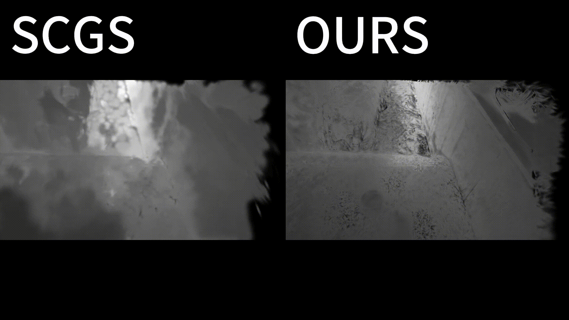 3D Wave Depth novel view